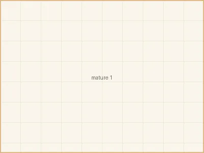 人妻猎人 - 清晨六点的厨房 - 为家人准备元气早餐